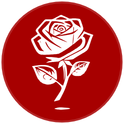logo-envio-flores